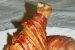 Pulpe de pui imbracate in bacon-1