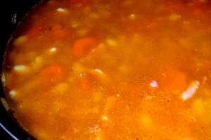 Mancarica de fasole boabe noua