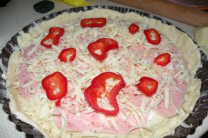 Tarta cu cascaval,sunca si branza pufoasa Delaco