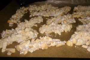 Piept de pui in crusta de grisine