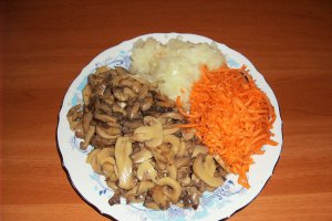Tocăniță de ciuperci cu morcovi