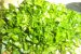 Salata de legume fierte cu maioneza si patrunjel verde-2