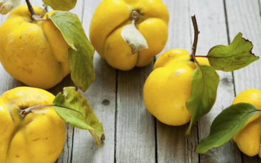 10 lucruri interesante pe care nu le stiai despre gutui, fructele care au pornit razboiul troian