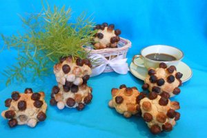 Fursecuri fragede ,, Arici,,