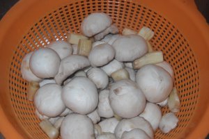 Tocanita de pui cu ciuperci