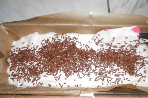 Chec cu dulceata de afine si glazura de ciocolata