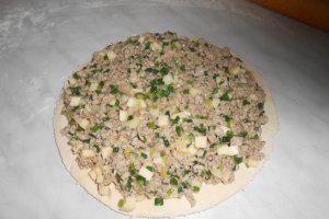 Placinta cu carne si ceapa verde