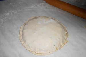 Placinta cu carne si ceapa verde