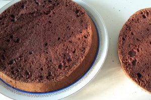 Desert tort Bounty