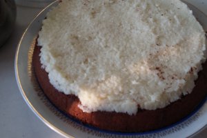 Desert tort Bounty