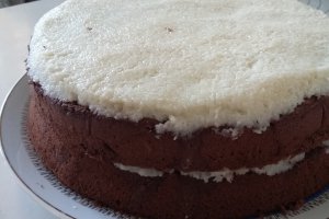 Desert tort Bounty