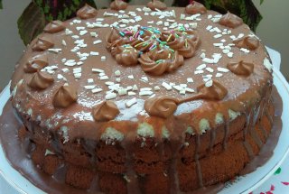 Desert tort Bounty