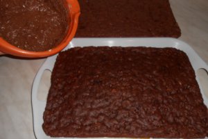 Prajitura cu nuca si ciocolata