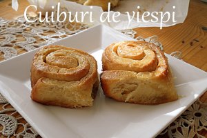 Cuiburi de viespi