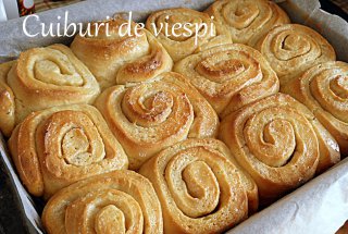 Cuiburi de viespi