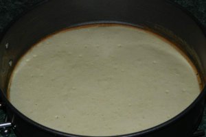 Desert tort Maresal Joffre