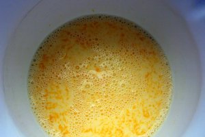 Budinca bicolora