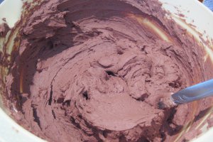Tort cu ciocolata, gem de caise si fulgi de migdale