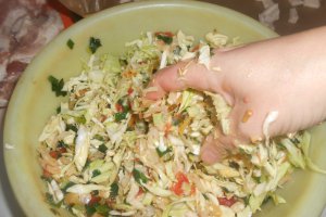 Piept de porc cu varza