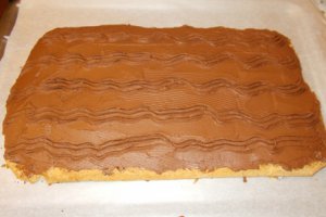 Prajitura cu nuca prajita si crema de ciocolata