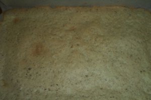 Tort egiptean