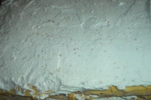 Tort egiptean