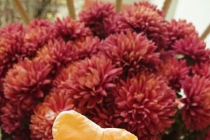 Tort cu mousse de mandarine si ciocolata