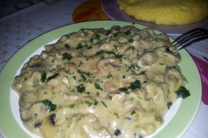 Ciuperci la tigaie cu smantana si mozzarella