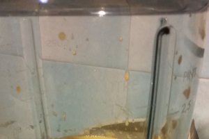 Prajitura cu morcov si glazura de cacao