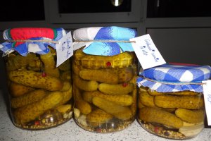 Castraveti cornisor in otet