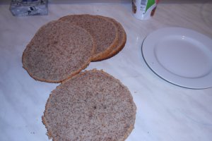 Tort Ema