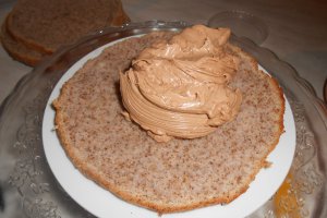 Tort Ema
