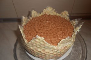 Tort Ema