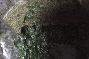 Supa din rosii proaspete cu ulei aromatizat cu busuioc
