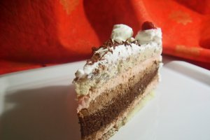 Tort Stefania