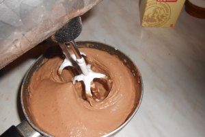 Prajitura cu mousse de ciocolata by Gaby