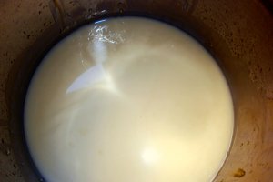 Tort cu piscoturi, mascarpone si fructe tropicale