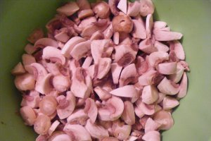 Trigoane cu ciuperci