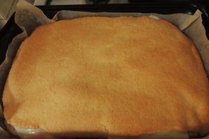 Prajitura cu budinca