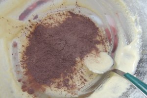 Chec bicolor