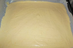 Desert prajitura tavalita cu nuca de cocos