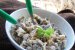 Salata de pui cu ciuperci-1