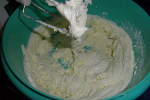 TORT "VIS DE IARNA"