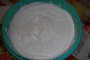 TORT "VIS DE IARNA"