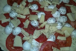 Placinta cu mozzarella si rosii