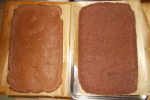 Prajitura cu foi de cacao, crema de lapte si glazura de ciocolata
