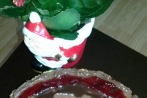 Tort cu crema de ciocolata si gem de coacaze