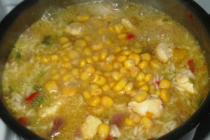 Orez cu pui si legume