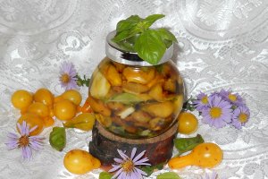 Rosii uscate in ulei de masline