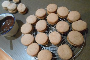 Biscuiti cu cacao